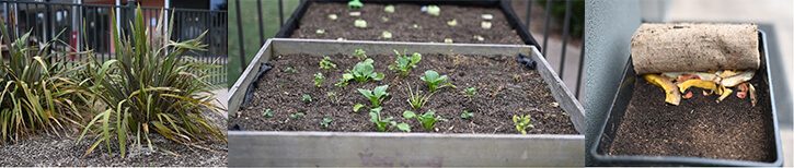 maintaining-the-garden